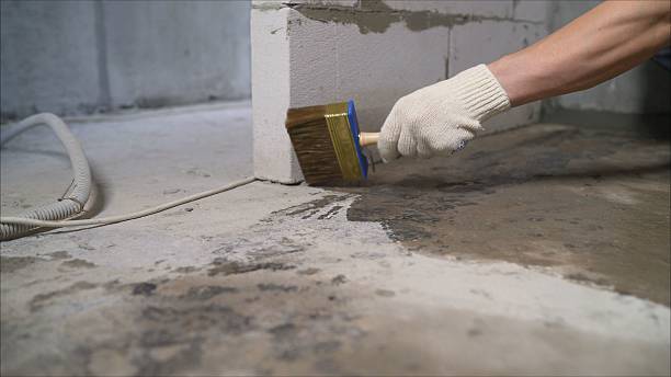 SJ Waterproofing Pros Waterproofing coverage map for Painesville, OH and surrounding area